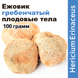Ежовик гребенчатый плодовые тела (целые)
